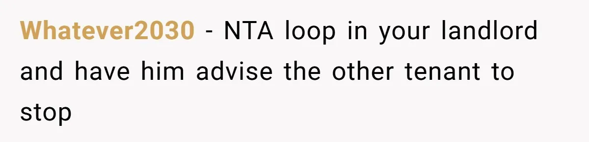 Whatever2030 − NTA loop in your landlord and have him advise the other tenant to stop