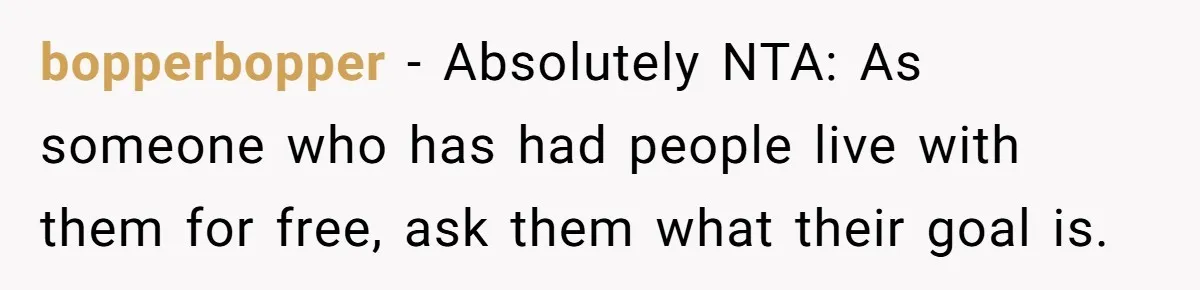 bopperbopper - Absolutely NTA: As someone who has had people live with them for free, ask them what their goal is.