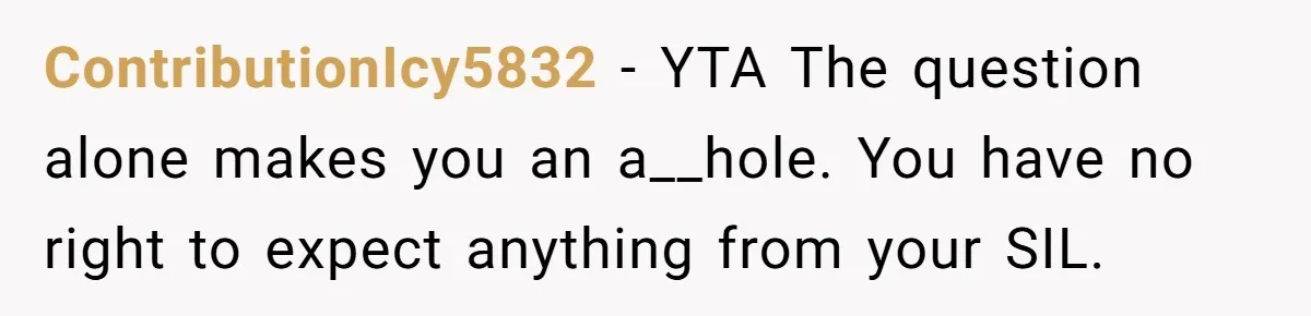 ContributionIcy5832 - YTA The question alone makes you an a__hole. You have no right to expect anything from your SIL.