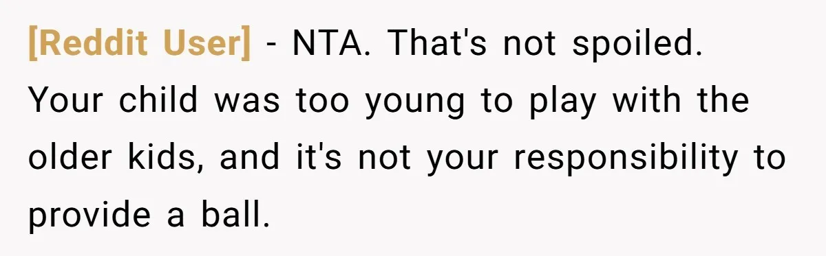 [Reddit User] − NTA. That's not spoiled. Your child was too young to play with the older kids, and it's not your responsibility to provide a ball.