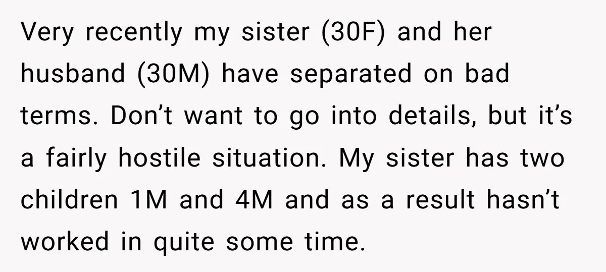 Very recently my sister (30F) and her husband (30M) have separated on bad terms. Don’t want to go into details, but it’s a fairly hostile situation. My sister has two...