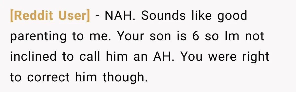 [Reddit User] − NAH. Sounds like good parenting to me. Your son is 6 so Im not inclined to call him an AH. You were right to correct him though.