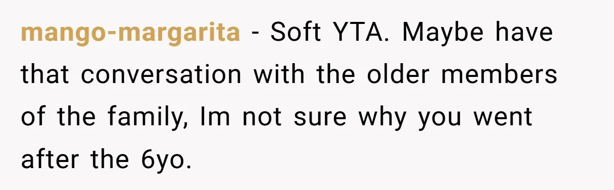 mango-margarita − Soft YTA. Maybe have that conversation with the older members of the family, Im not sure why you went after the 6yo.