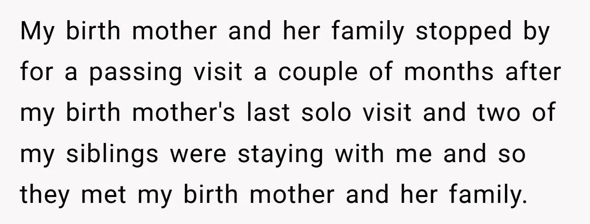 My birth mother and her family stopped by for a passing visit a couple of months after my birth mother's last solo visit and two of my siblings were staying...