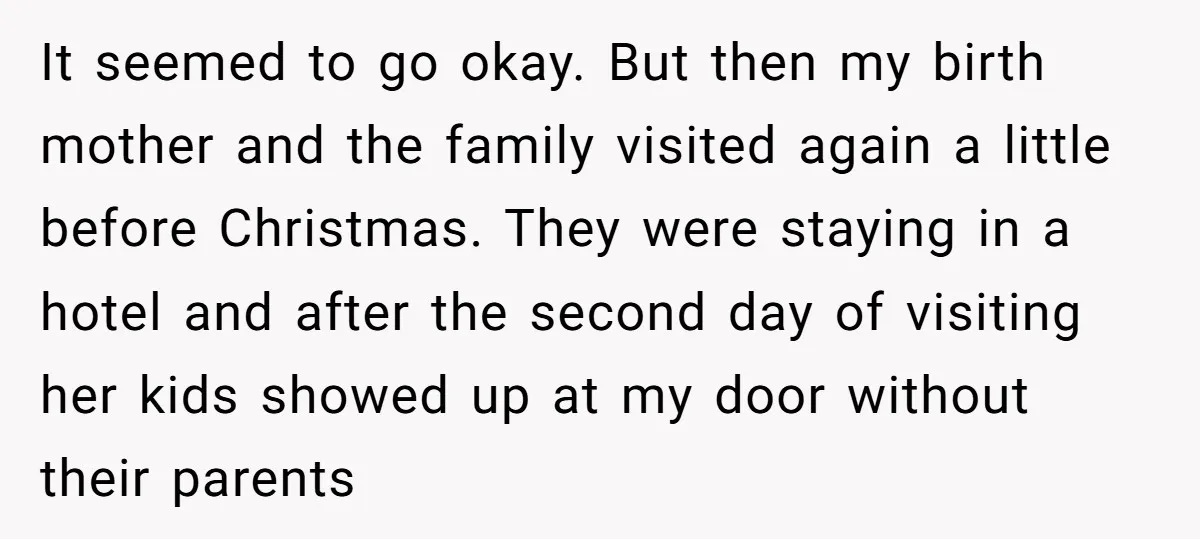It seemed to go okay. But then my birth mother and the family visited again a little before Christmas. They were staying in a hotel and after the second day...
