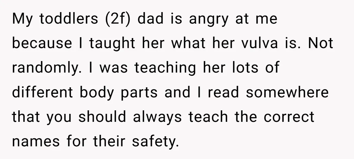 My toddlers (2f) dad is angry at me because I taught her what her vulva is. Not randomly. I was teaching her lots of different body parts and I read...
