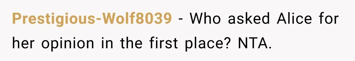 Prestigious-Wolf8039 - Who asked Alice for her opinion in the first place? NTA.
