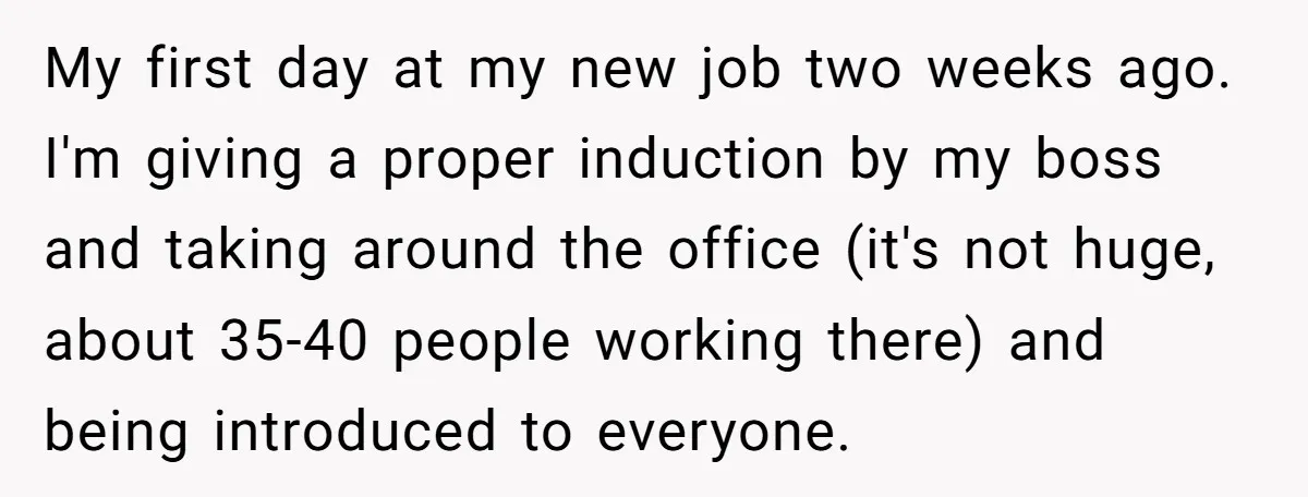 My first day at my new job two weeks ago. I'm giving a proper induction by my boss and taking around the office (it's not huge, about 35-40 people working...