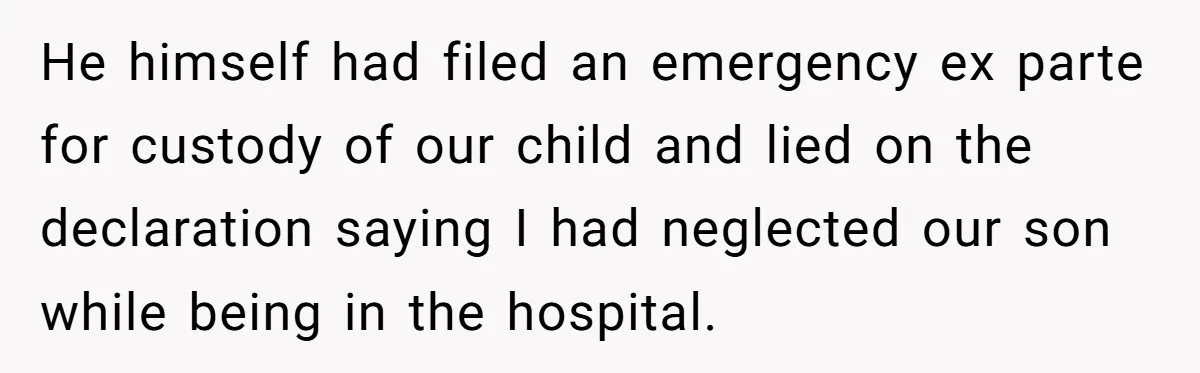 He himself had filed an emergency ex parte for custody of our child and lied on the declaration saying I had neglected our son while being in the hospital.