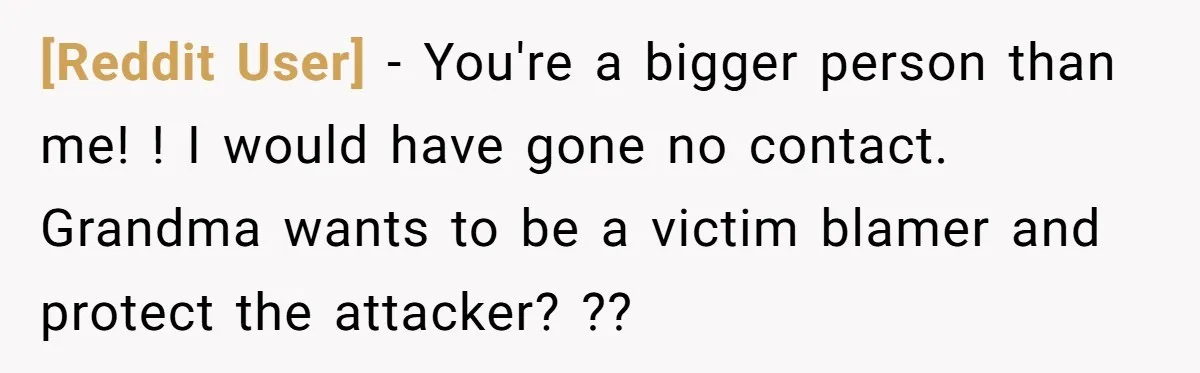 [Reddit User] − You're a bigger person than me! ! I would have gone no contact. Grandma wants to be a victim blamer and protect the attacker? ??