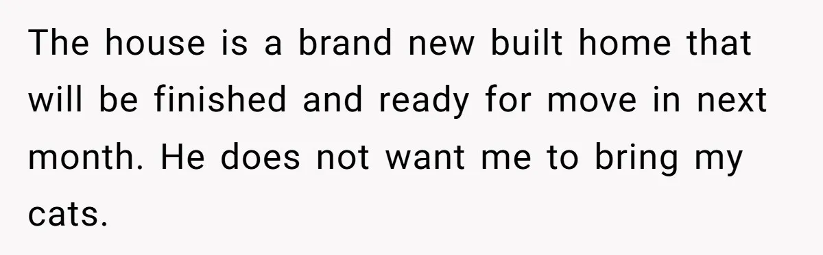 The house is a brand new built home that will be finished and ready for move in next month. He does not want me to bring my cats.