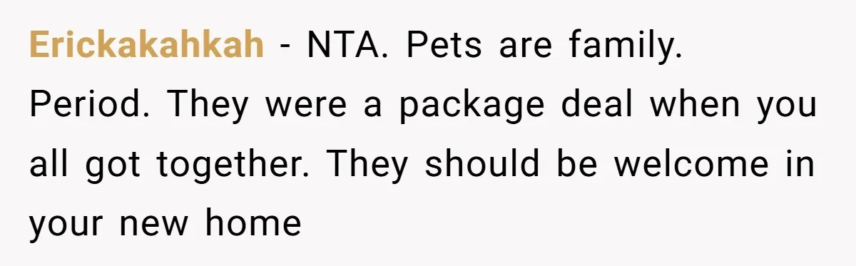 Erickakahkah − NTA. Pets are family. Period. They were a package deal when you all got together. They should be welcome in your new home