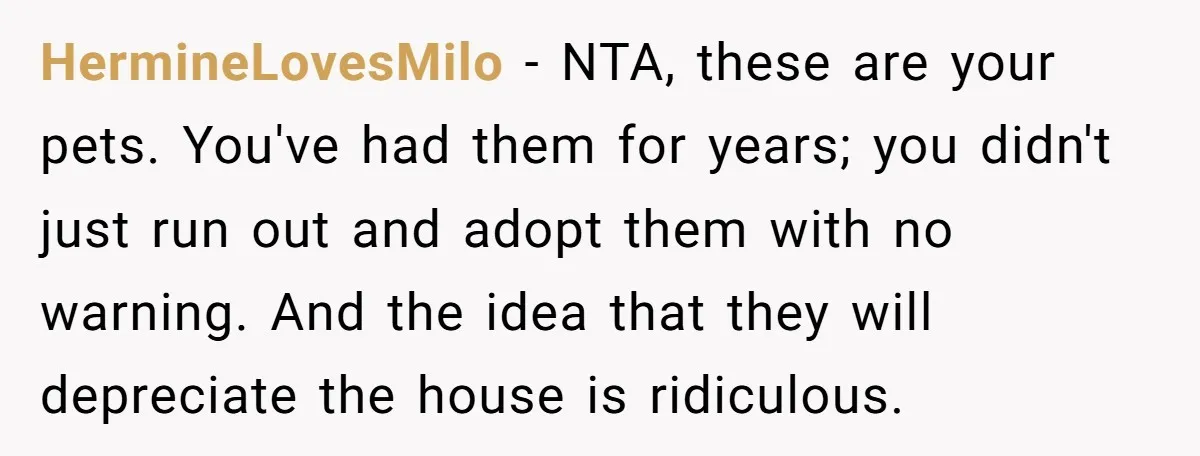 HermineLovesMilo − NTA, these are your pets. You've had them for years; you didn't just run out and adopt them with no warning. And the idea that they will depreciate...