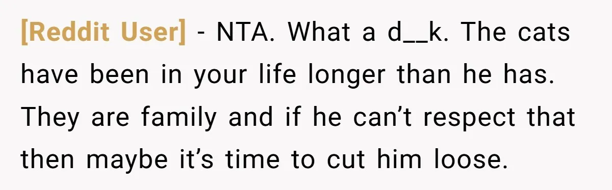 [Reddit User] − NTA. What a d__k. The cats have been in your life longer than he has. They are family and if he can’t respect that then maybe it’s...