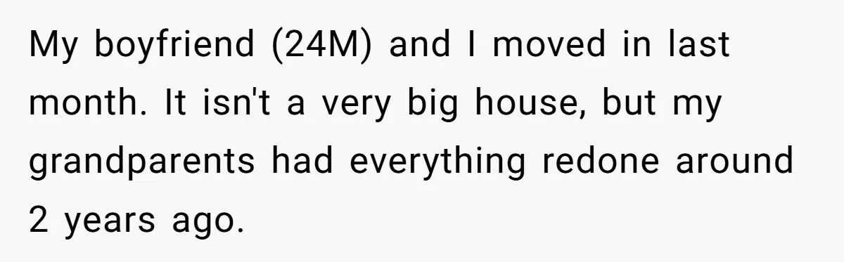My boyfriend (24M) and I moved in last month. It isn't a very big house, but my grandparents had everything redone around 2 years ago.