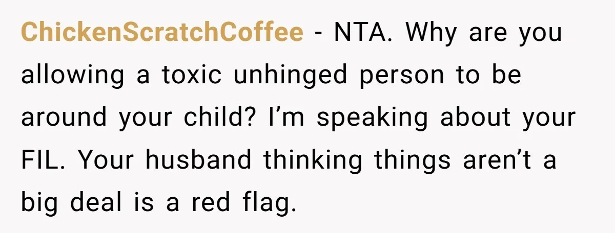 ChickenScratchCoffee - NTA. Why are you allowing a toxic unhinged person to be around your child? I’m speaking about your FIL. Your husband thinking things aren’t a big deal is...