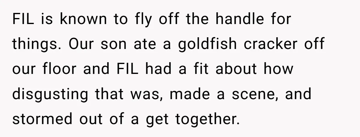 FIL is known to fly off the handle for things. Our son ate a goldfish cracker off our floor and FIL had a fit about how disgusting that was, made...