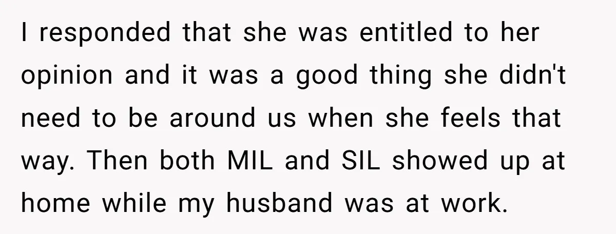 I responded that she was entitled to her opinion and it was a good thing she didn't need to be around us when she feels that way. Then both MIL...