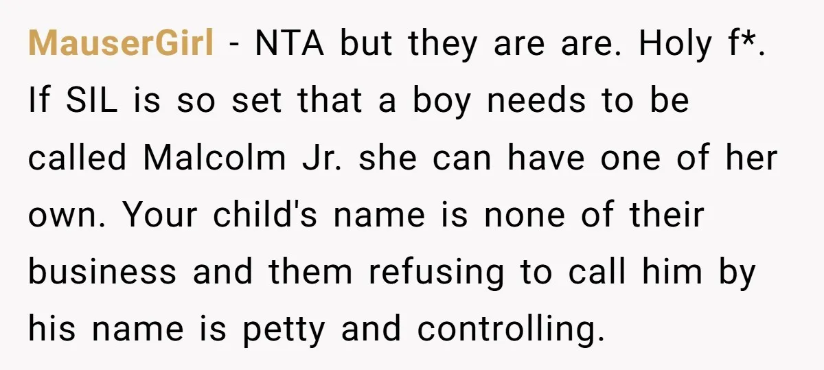 MauserGirl − NTA but they are are. Holy f*. If SIL is so set that a boy needs to be called Malcolm Jr. she can have one of her own....