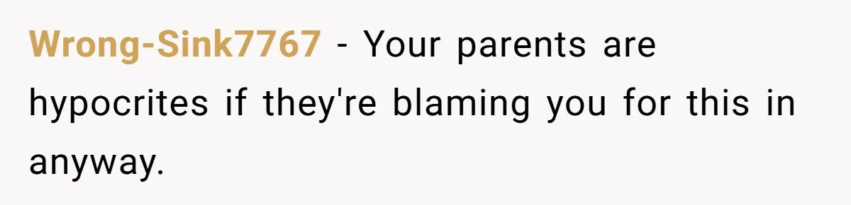 Wrong-Sink7767 − Your parents are hypocrites if they're blaming you for this in anyway.