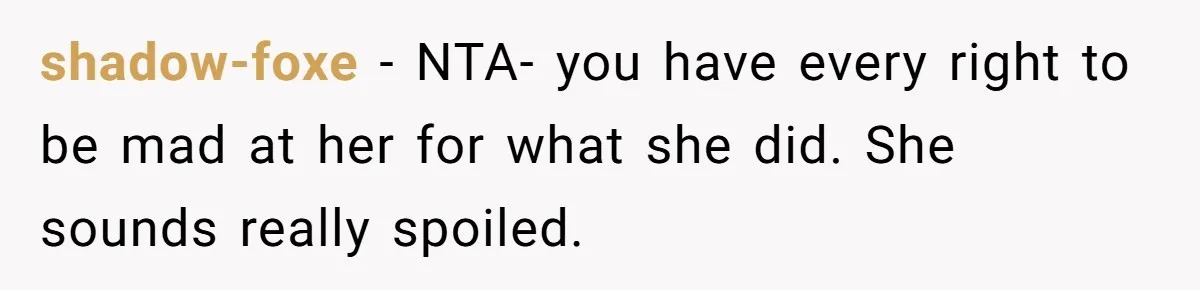 shadow-foxe - NTA- you have every right to be mad at her for what she did. She sounds really spoiled.