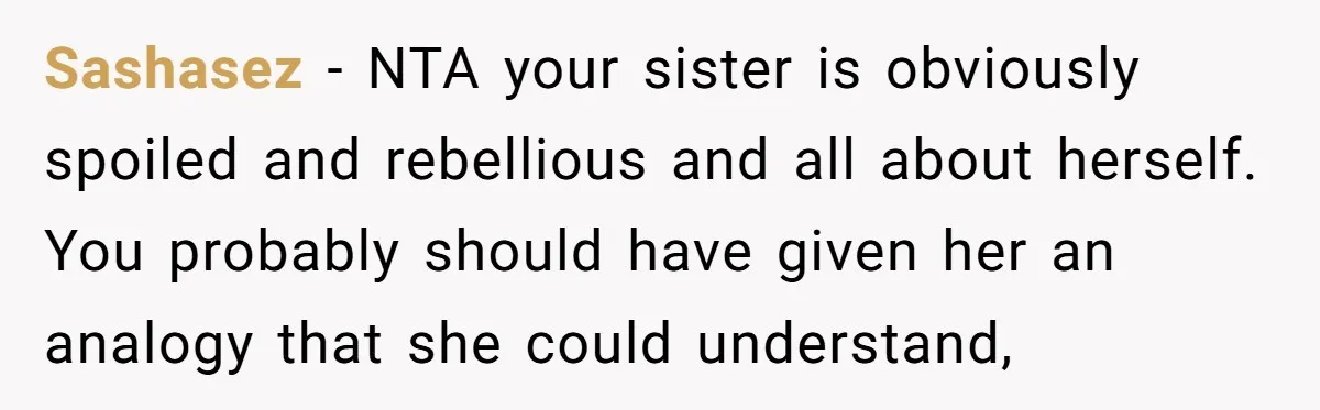 Sashasez - NTA your sister is obviously spoiled and rebellious and all about herself. You probably should have given her an analogy that she could understand,