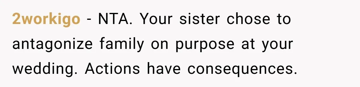 2workigo - NTA. Your sister chose to antagonize family on purpose at your wedding. Actions have consequences.