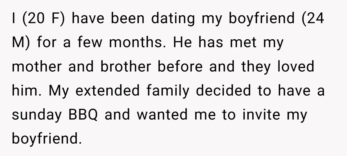 I (20 F) have been dating my boyfriend (24 M) for a few months. He has met my mother and brother before and they loved him. My extended family decided...