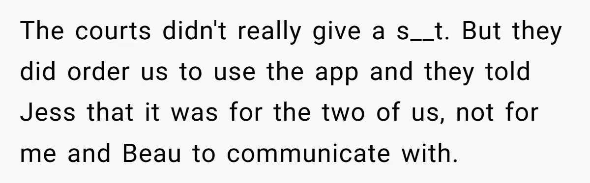 The courts didn't really give a s__t. But they did order us to use the app and they told Jess that it was for the two of us, not for...