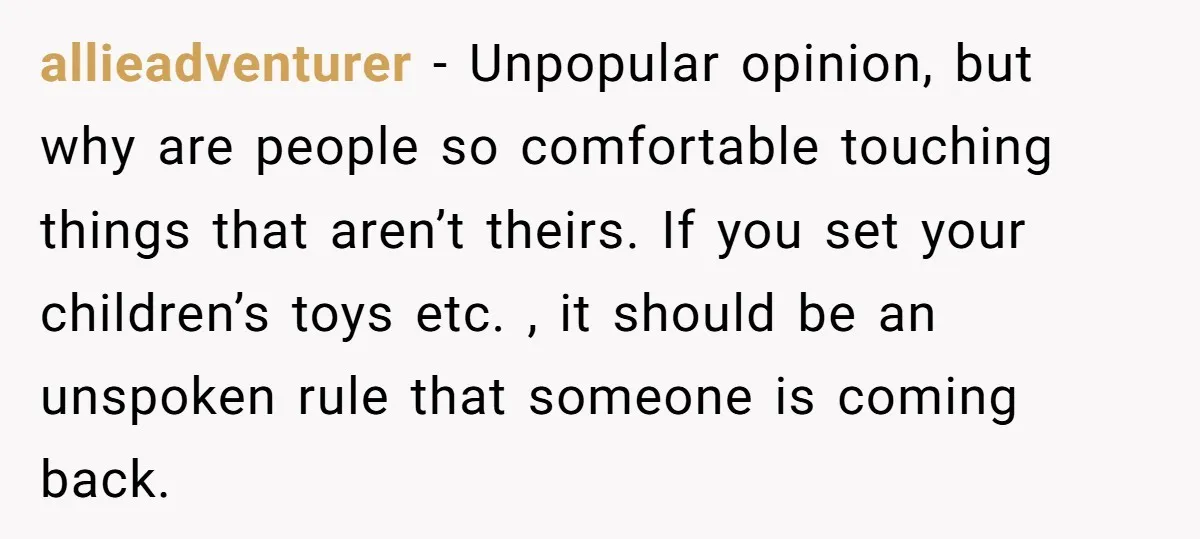 allieadventurer − Unpopular opinion, but why are people so comfortable touching things that aren’t theirs. If you set your children’s toys etc. , it should be an unspoken rule that...