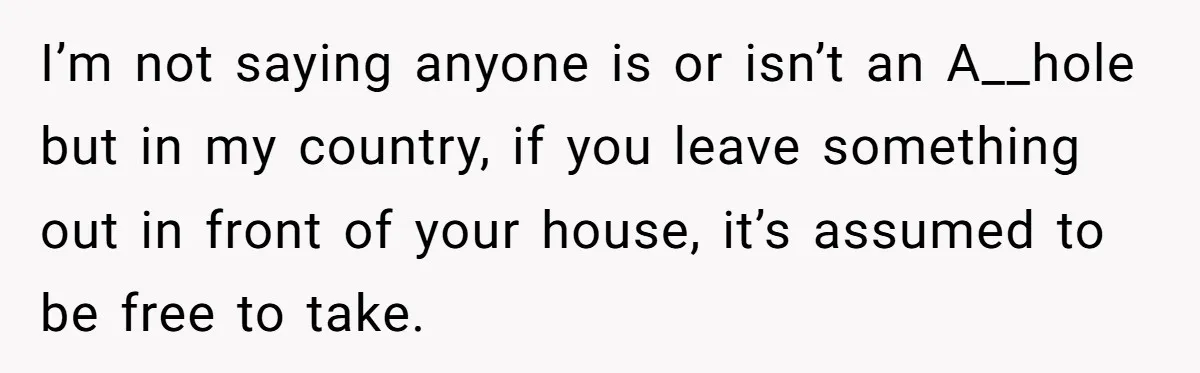 I’m not saying anyone is or isn’t an A__hole but in my country, if you leave something out in front of your house, it’s assumed to be free to take.