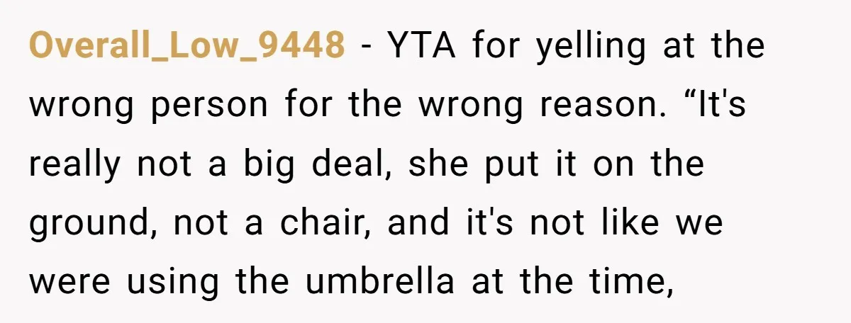 Overall_Low_9448 − YTA for yelling at the wrong person for the wrong reason. “It's really not a big deal, she put it on the ground, not a chair, and it's...