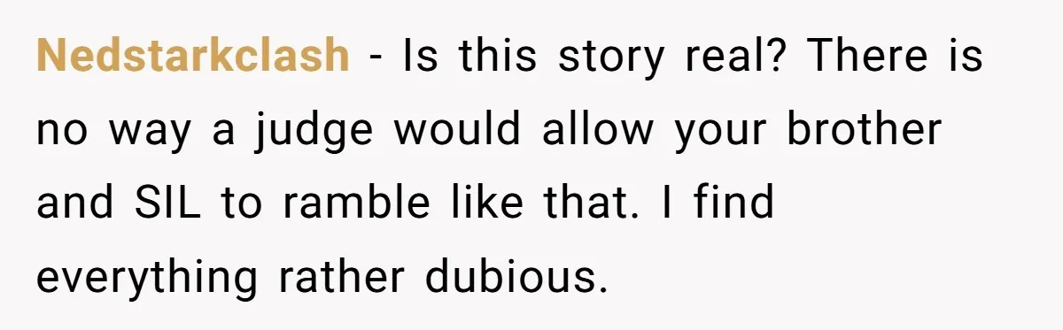 Nedstarkclash - Is this story real? There is no way a judge would allow your brother and SIL to ramble like that. I find everything rather dubious.