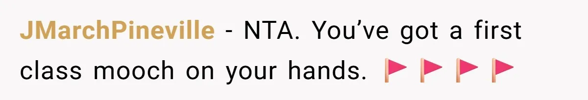 JMarchPineville − NTA. You’ve got a first class mooch on your hands. 🚩🚩🚩🚩