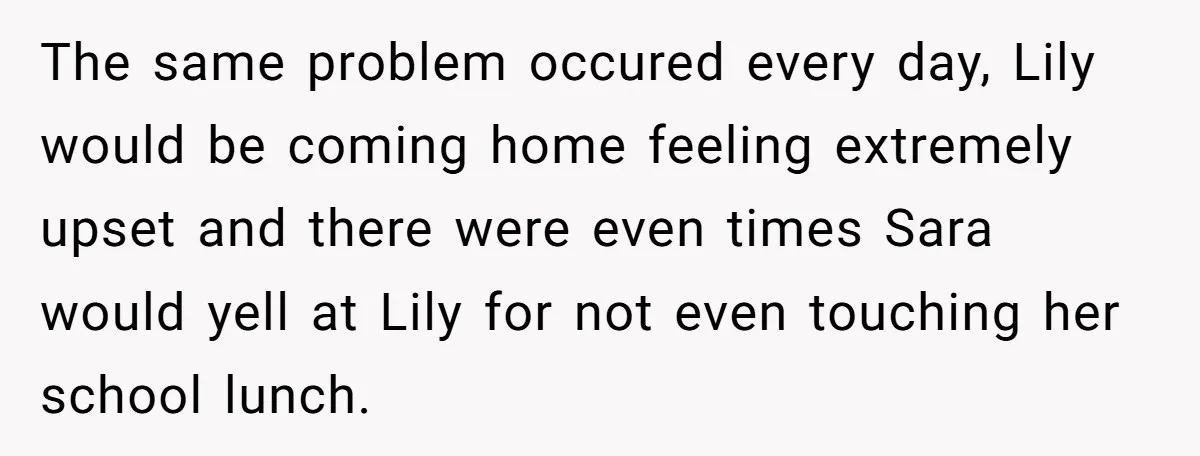 The same problem occured every day, Lily would be coming home feeling extremely upset and there were even times Sara would yell at Lily for not even touching her school...