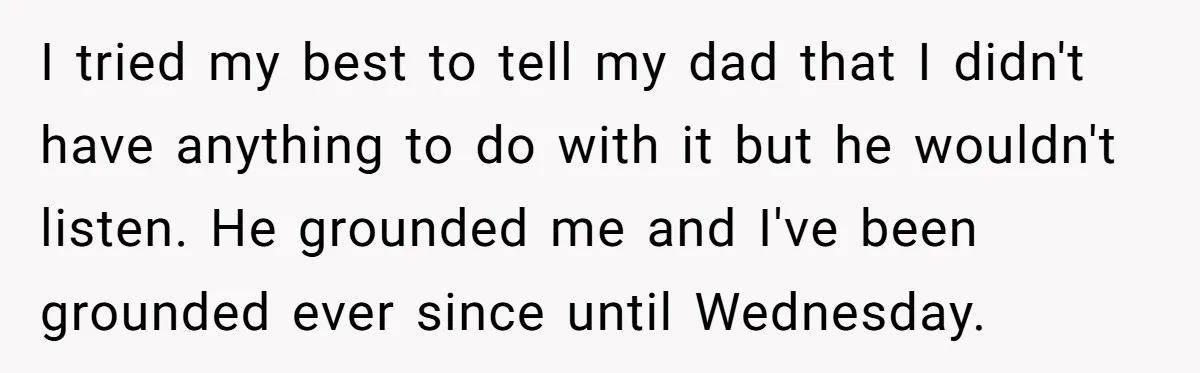 I tried my best to tell my dad that I didn't have anything to do with it but he wouldn't listen. He grounded me and I've been grounded ever since...
