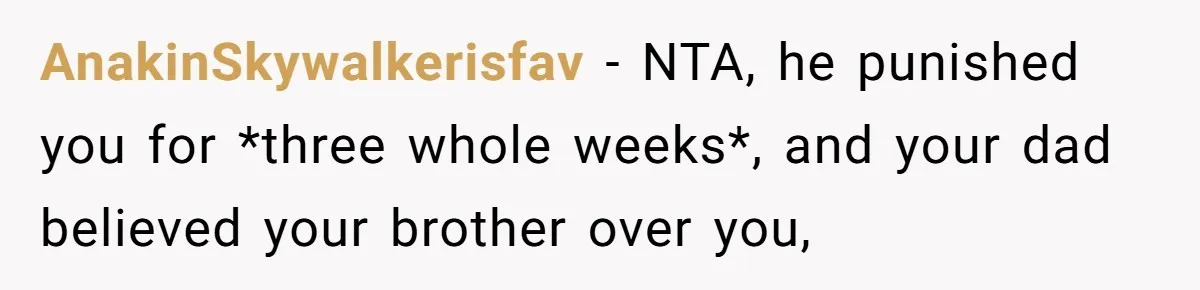 AnakinSkywalkerisfav − NTA, he punished you for *three whole weeks*, and your dad believed your brother over you,