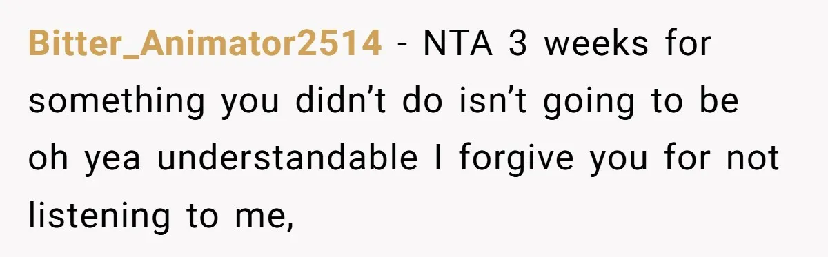 Bitter_Animator2514 − NTA 3 weeks for something you didn’t do isn’t going to be oh yea understandable I forgive you for not listening to me,