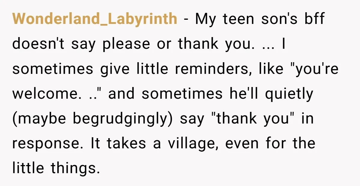 Wonderland_Labyrinth − My teen son's bff doesn't say please or thank you. ... I sometimes give little reminders, like "you're welcome. .." and sometimes he'll quietly (maybe begrudgingly) say "thank...