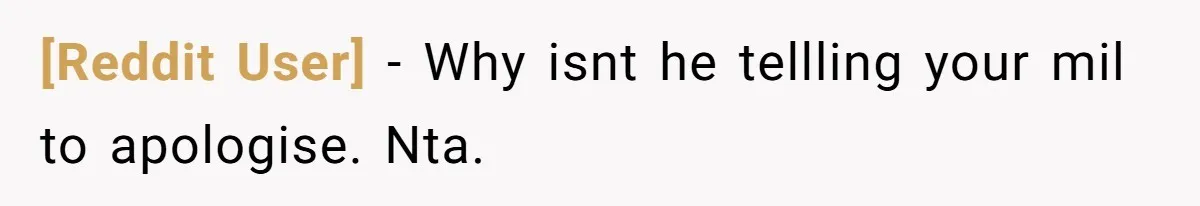 [Reddit User] - Why isnt he tellling your mil to apologise. Nta.