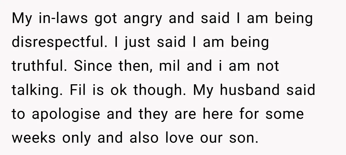 My in-laws got angry and said I am being disrespectful. I just said I am being truthful. Since then, mil and i am not talking. Fil is ok though. My...