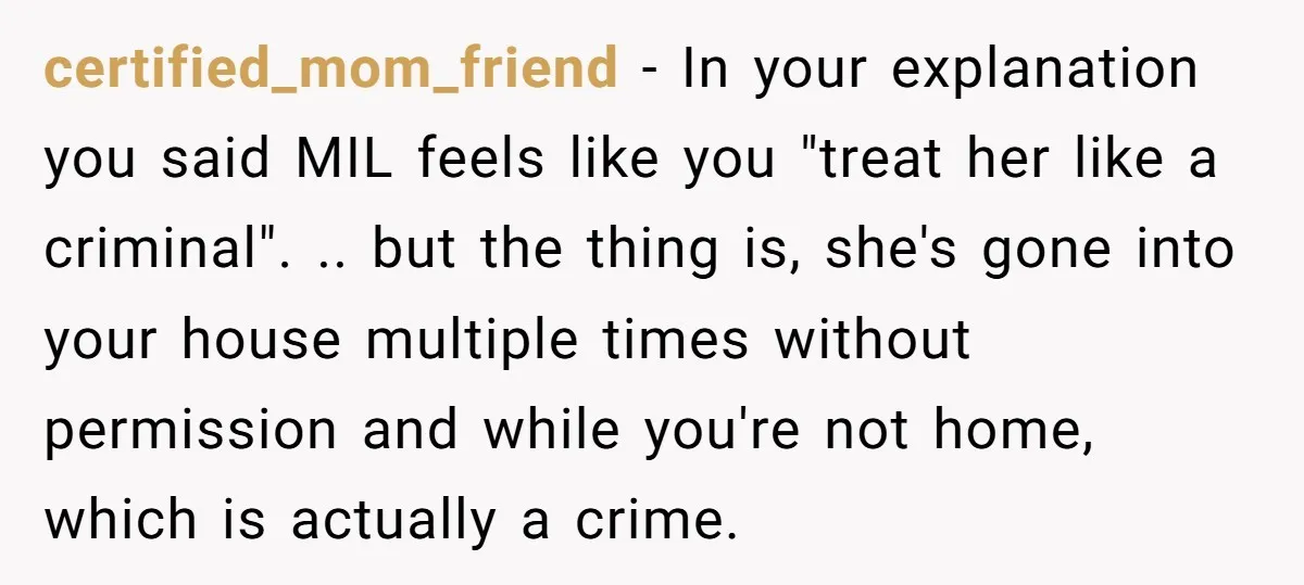 certified_mom_friend - In your explanation you said MIL feels like you "treat her like a criminal". .. but the thing is, she's gone into your house multiple times without permission...