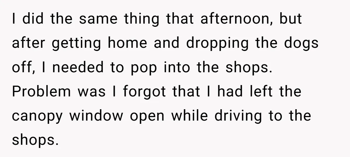 I did the same thing that afternoon, but after getting home and dropping the dogs off, I needed to pop into the shops. Problem was I forgot that I had...