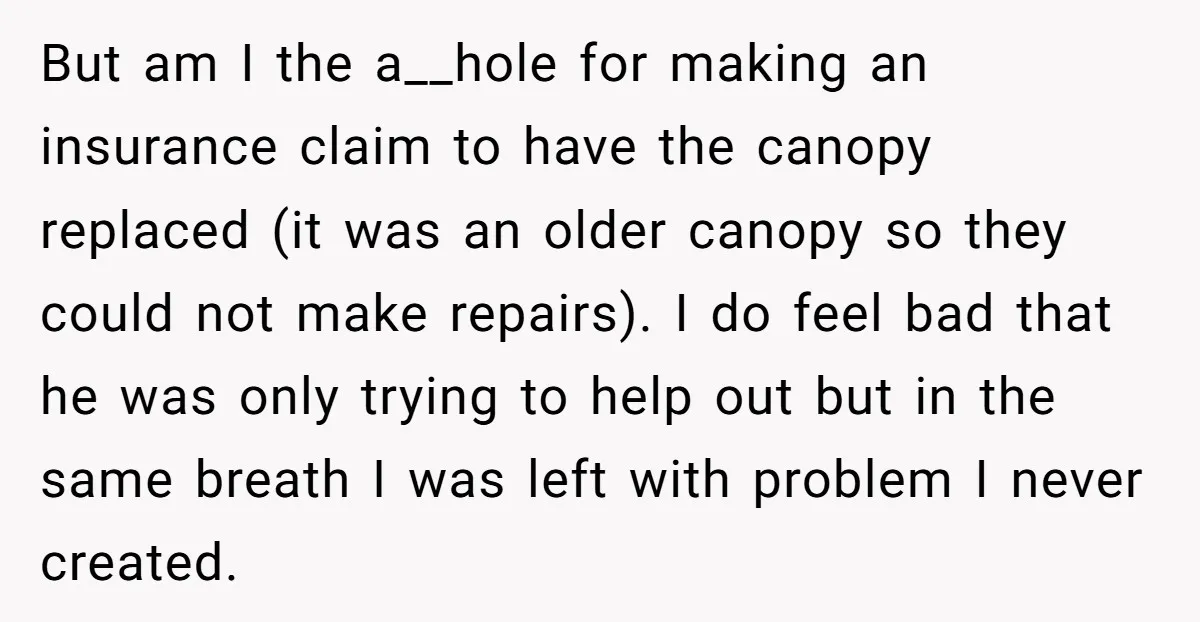 But am I the a__hole for making an insurance claim to have the canopy replaced (it was an older canopy so they could not make repairs). I do feel bad...