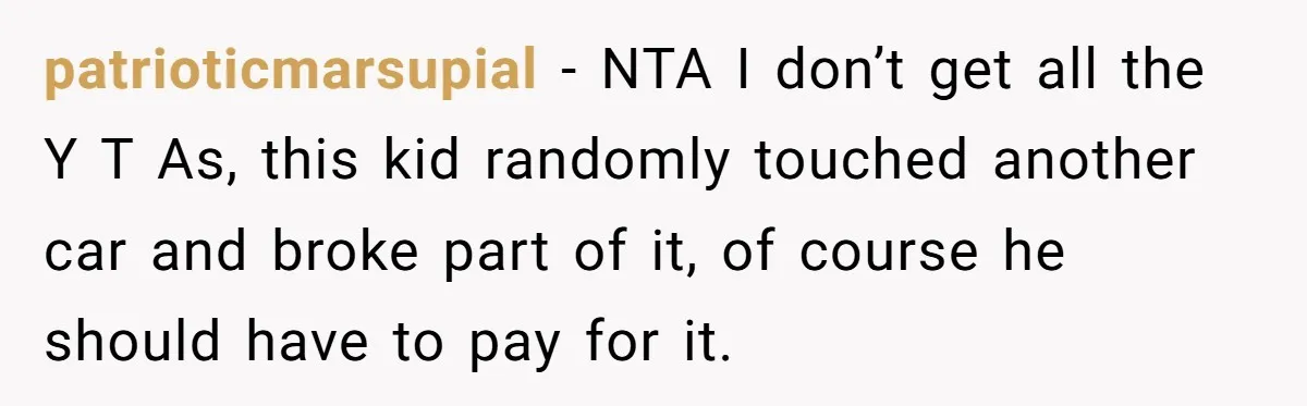 patrioticmarsupial − NTA I don’t get all the Y T As, this kid randomly touched another car and broke part of it, of course he should have to pay for...