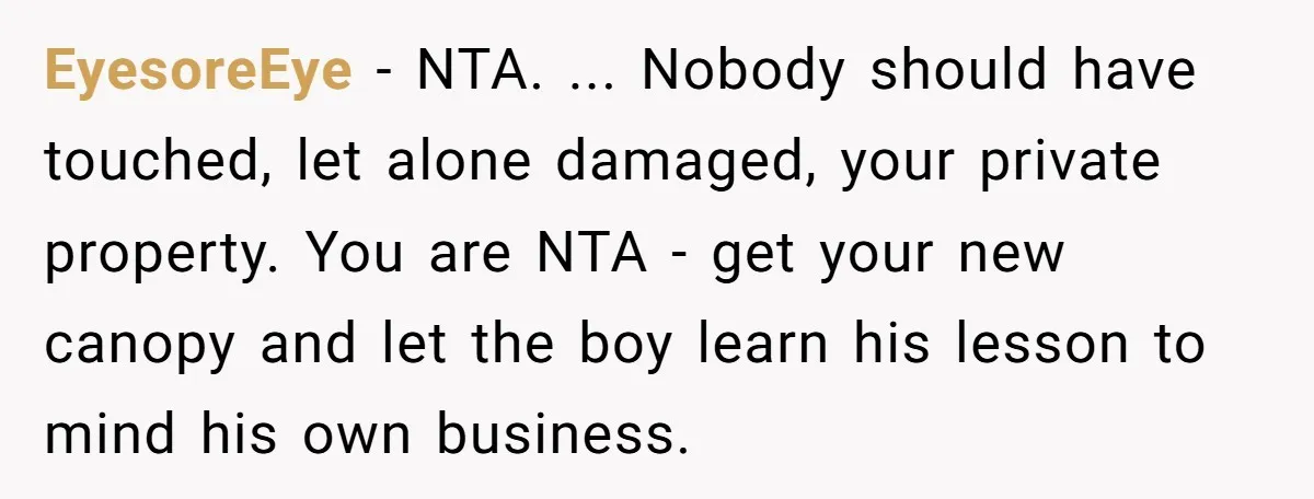 EyesoreEye − NTA. ... Nobody should have touched, let alone damaged, your private property. You are NTA - get your new canopy and let the boy learn his lesson to...