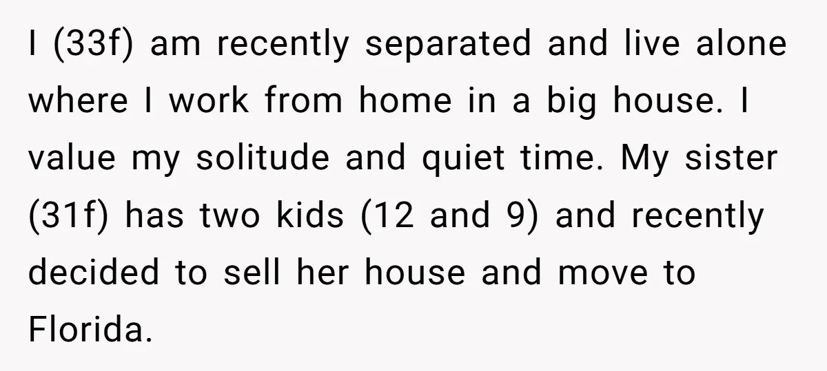 I (33f) am recently separated and live alone where I work from home in a big house. I value my solitude and quiet time. My sister (31f) has two kids...