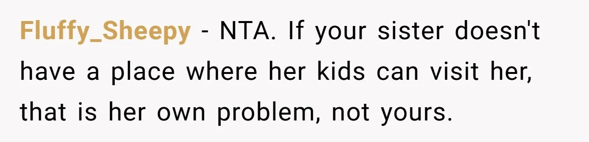 Fluffy_Sheepy − NTA. If your sister doesn't have a place where her kids can visit her, that is her own problem, not yours.