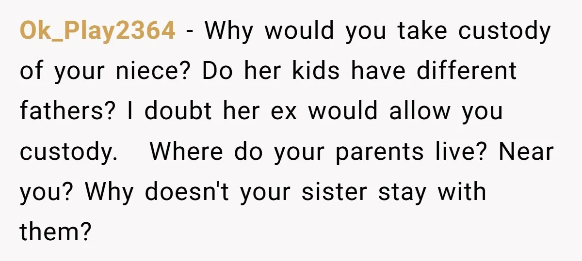 Ok_Play2364 − Why would you take custody of your niece? Do her kids have different fathers? I doubt her ex would allow you custody. Where do your parents live? Near...