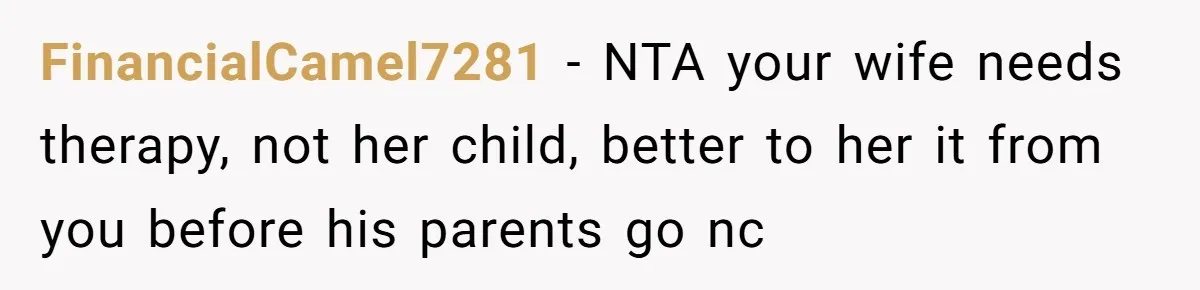 FinancialCamel7281 − NTA your wife needs therapy, not her child, better to her it from you before his parents go nc